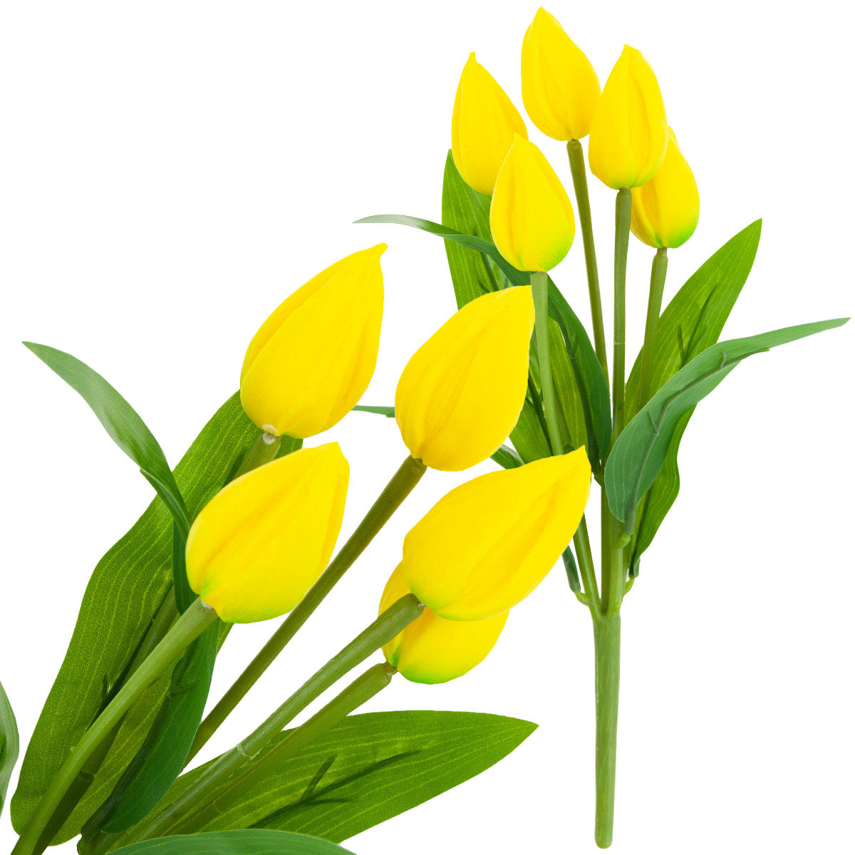 Tulipan Bukiet Tulipanów Żółty Piękny Jak Żywy