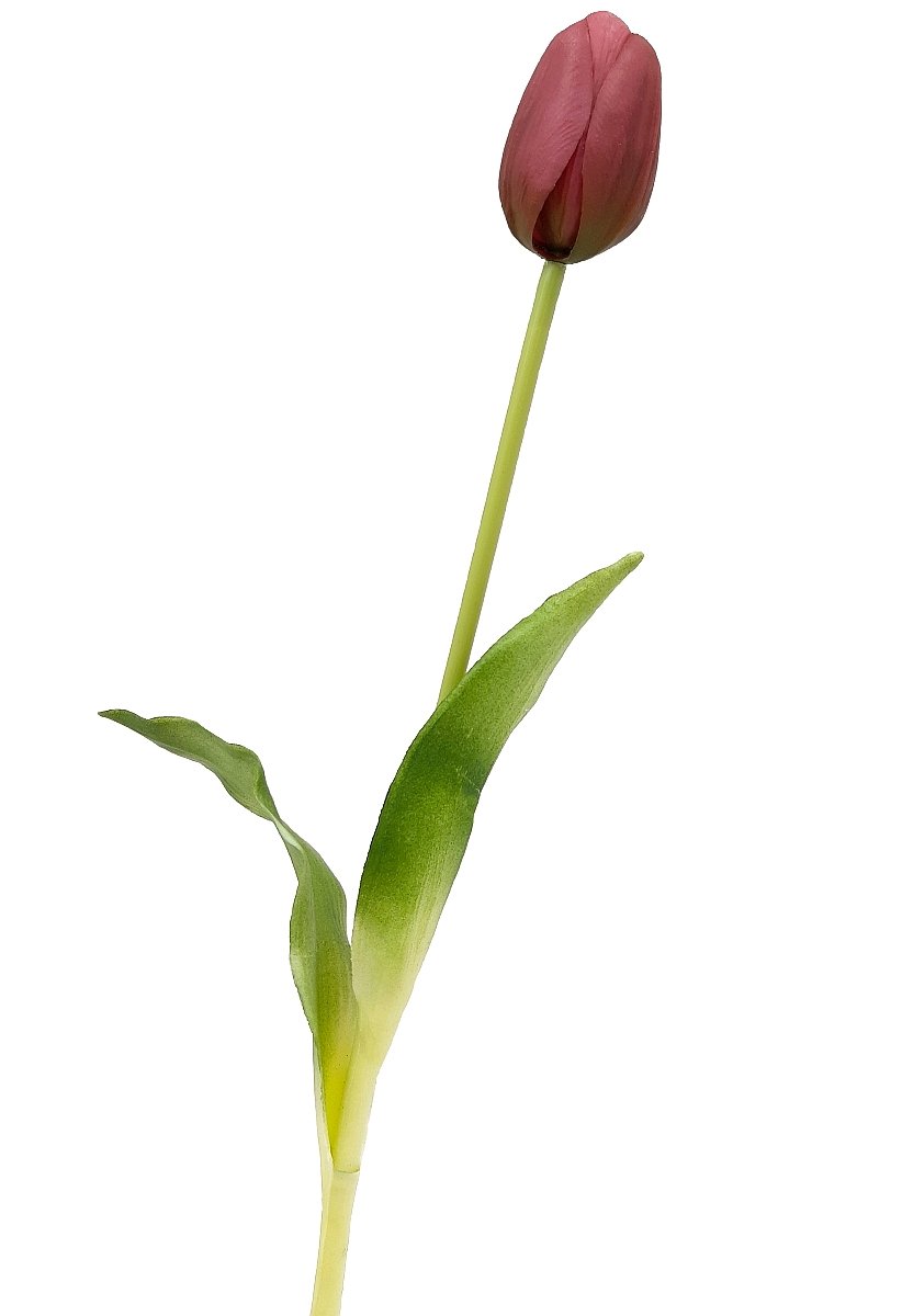 Tulipan silikonowy jak żywy fioletowy gumowy 40 cm rozkwitnięty