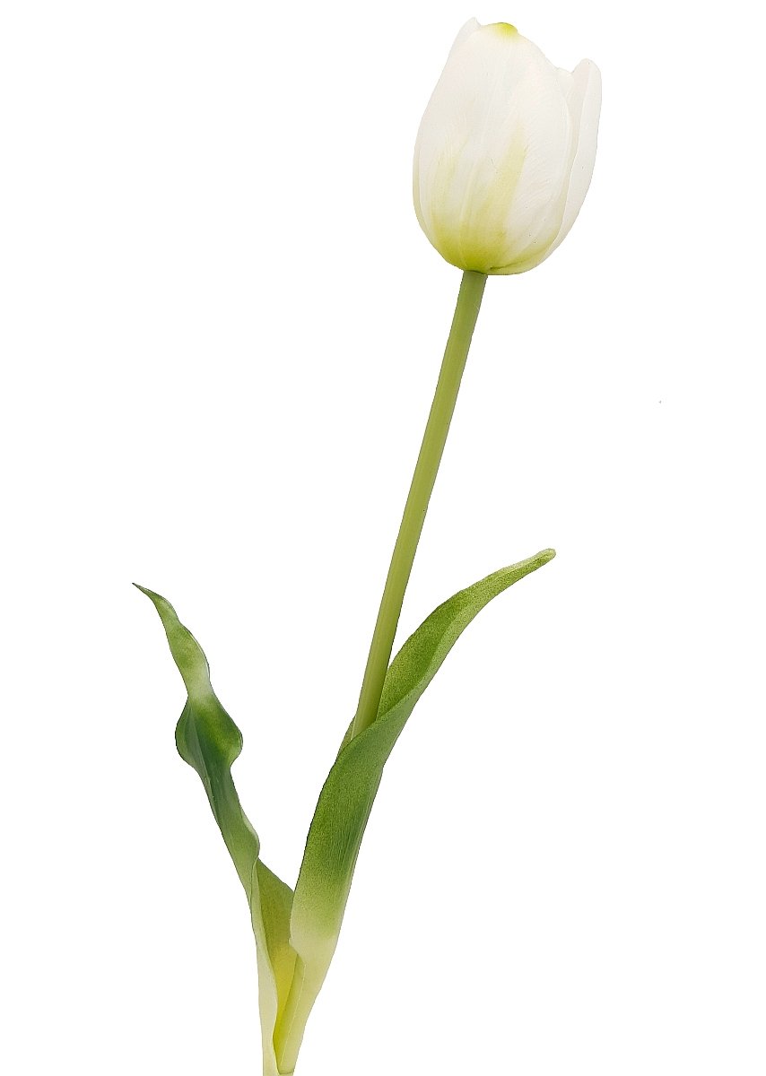 Tulipan silikonowy jak żywy biały gumowy 40 cm rozkwitnięty