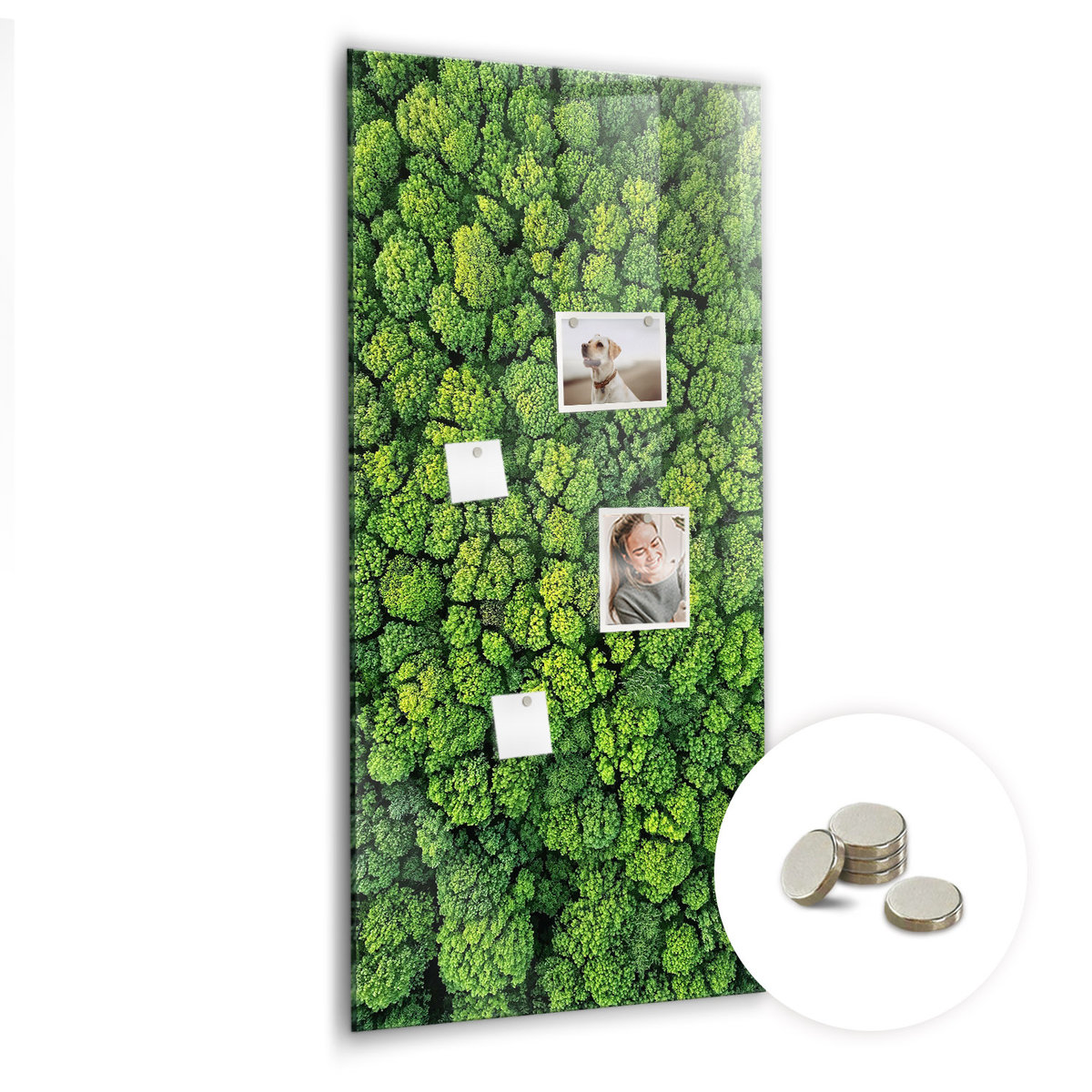 Magnetyczny Organizer na Ścianę 120x60 cm - Las drzewa natura
