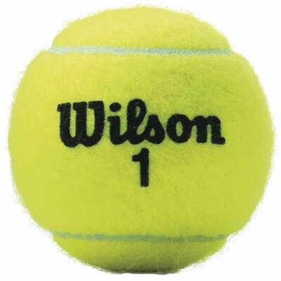 Wilson piłki tenisowe Championship -częściowy, żółta, 6.5, wrt11 0000 0887768196462