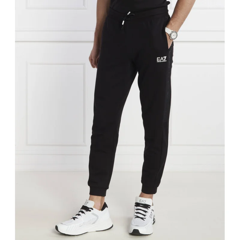 EA7 Spodnie dresowe | Regular Fit