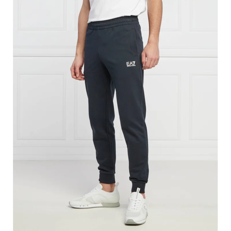 EA7 Spodnie dresowe Regular Fit