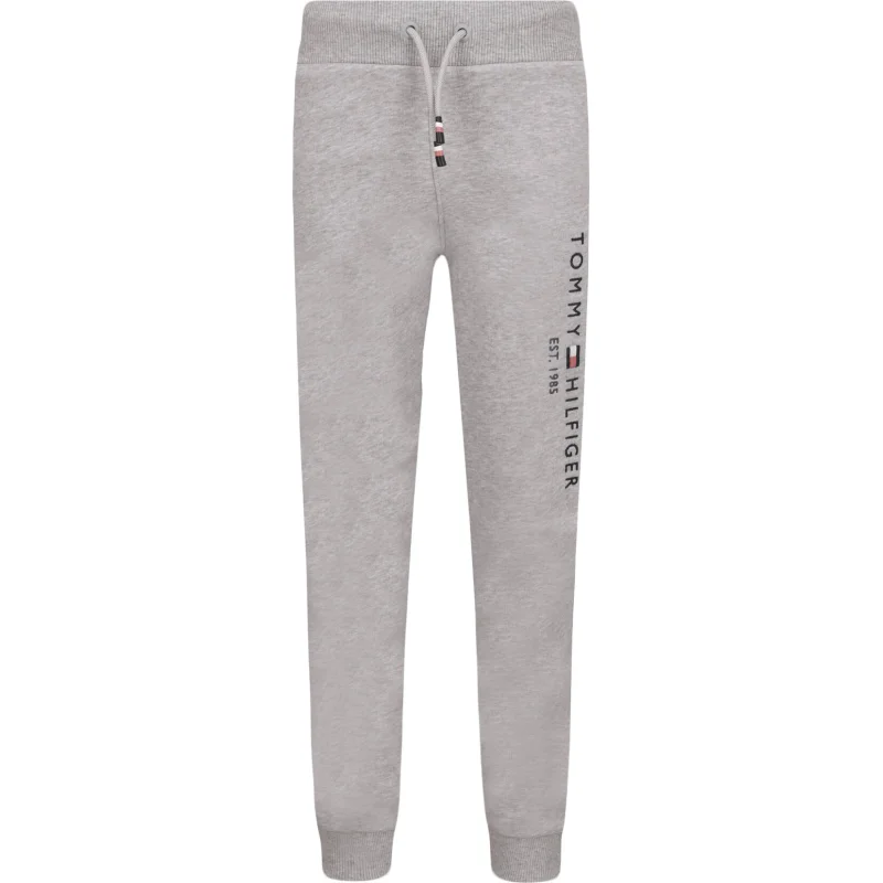 Tommy Hilfiger Spodnie dresowe | Regular Fit
