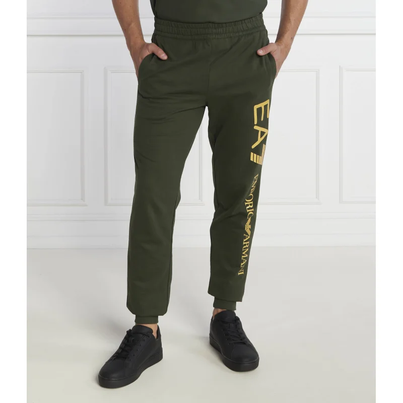 EA7 Spodnie dresowe | Regular Fit