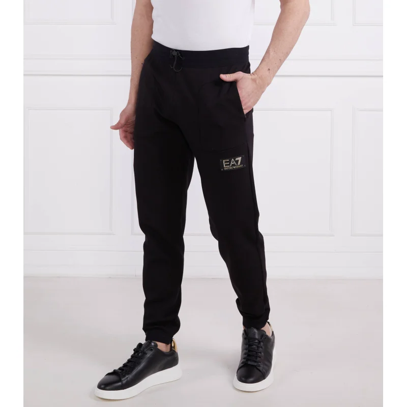EA7 Spodnie dresowe | Regular Fit