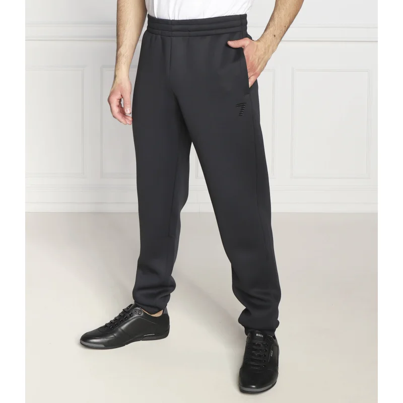 EA7 Spodnie dresowe | Regular Fit