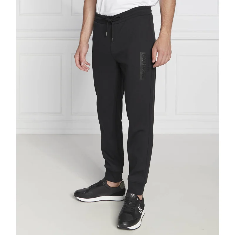 Armani Exchange Spodnie dresowe | Regular Fit