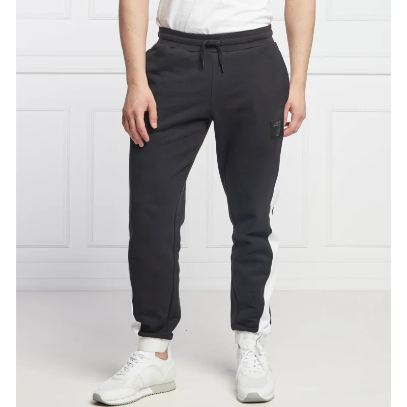 EA7 Spodnie dresowe | Regular Fit