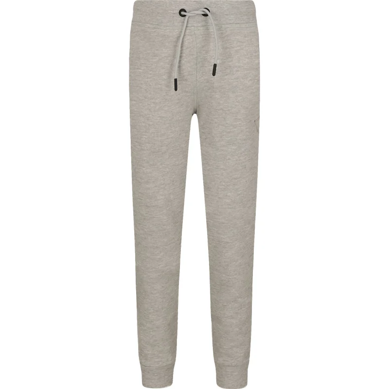 GUESS ACTIVE Spodnie dresowe ACTIVE | Regular Fit