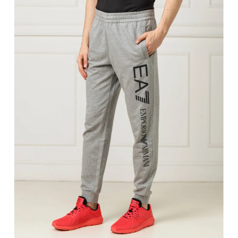 EA7 Spodnie dresowe | Regular Fit