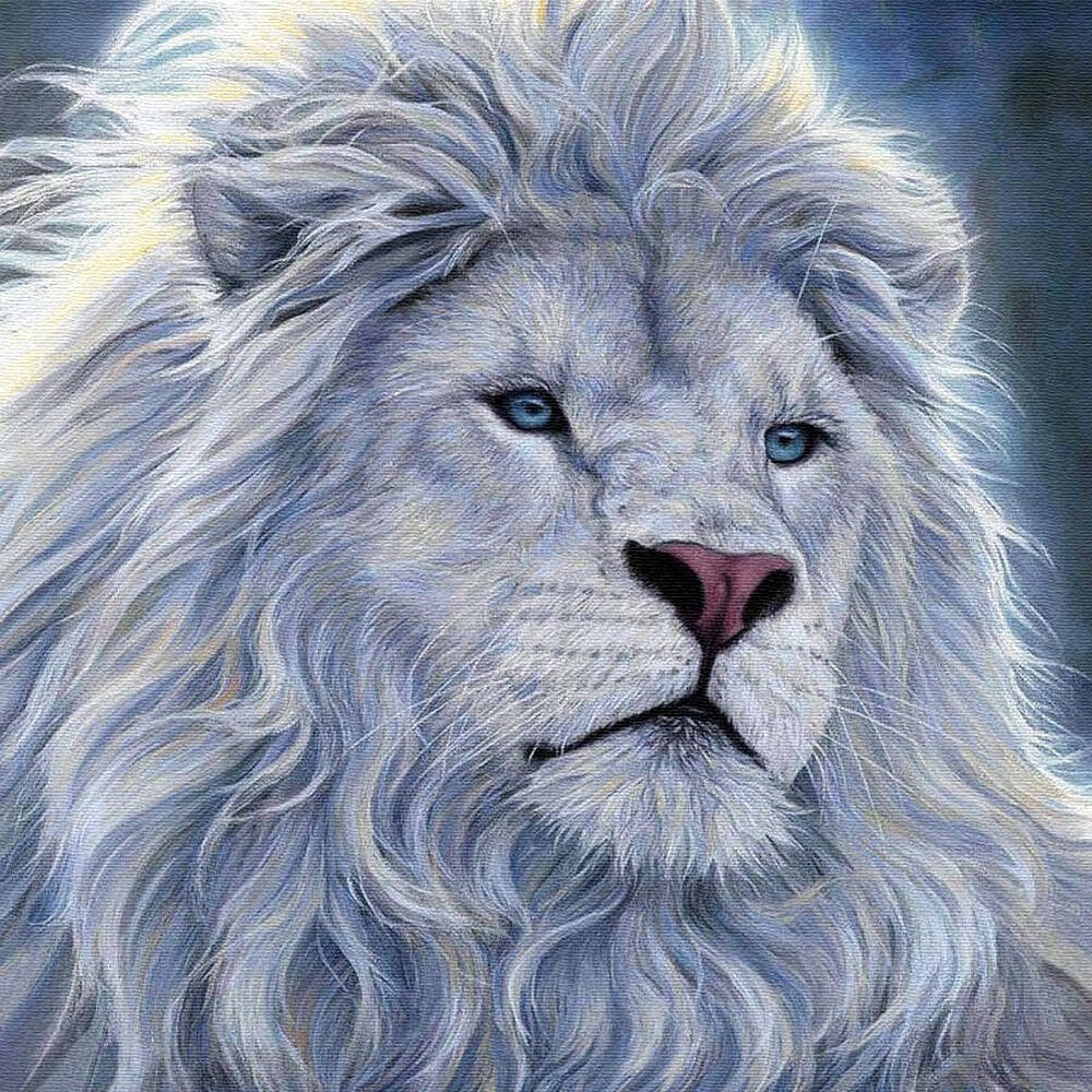 Haft Diamentowy Bez Ramy Lew 30x30 Mozaika Diamentowa 5d