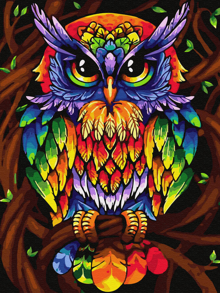 Haft Diamentowy Bez Ramy Tęczowa Sowa 30x40 Mozaika Diamentowa 5d