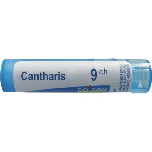 Boiron Cantharis, 9 CH, gran., 4 g,(MZ19302) 3189407