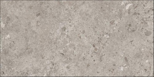 Grespania Bierzo Gris 60x120 cm