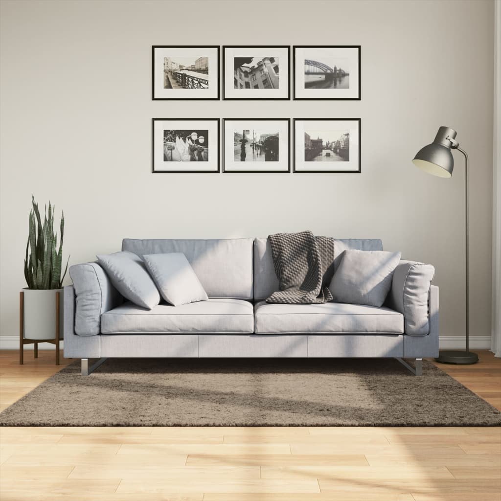 Dywan z długim runem, połyskujący, szary, 120x170 cm