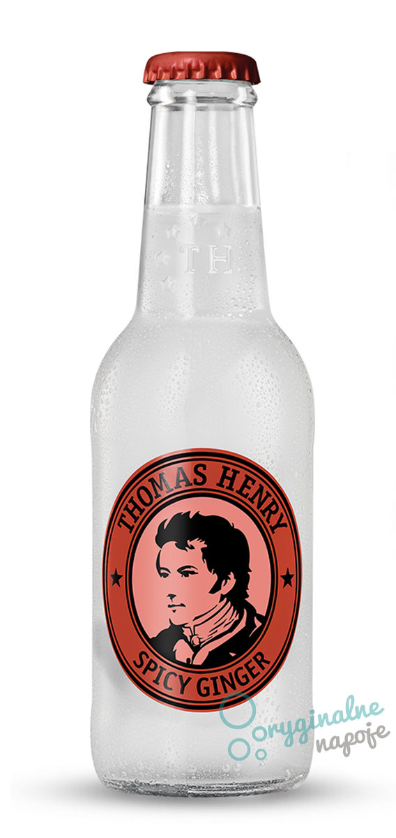 Thomas Henry Spicy Ginger Karton 24 x 0,2l