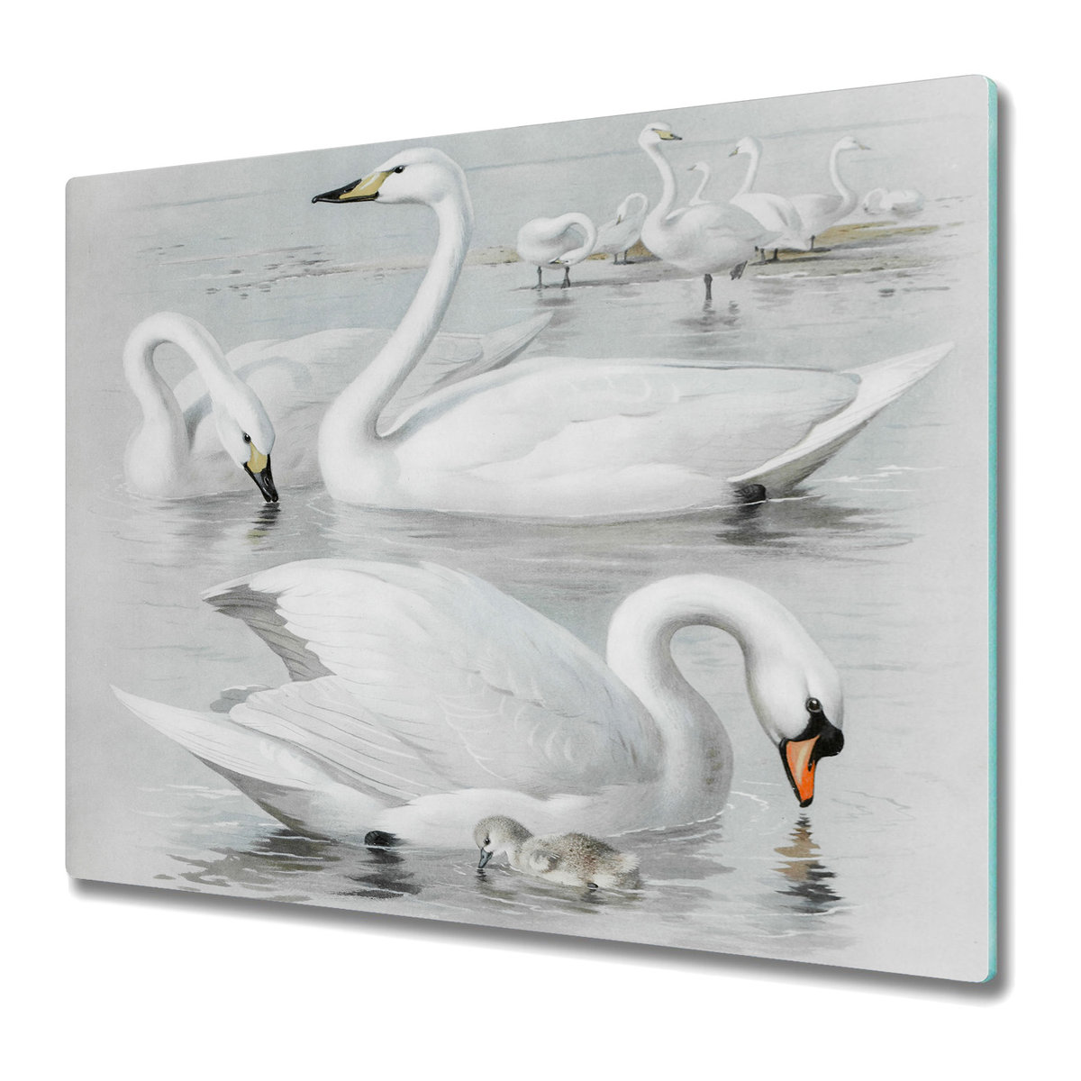 Stylowa Deska Do Krojenia ze Szkła 60x52 cm - Łabędzie