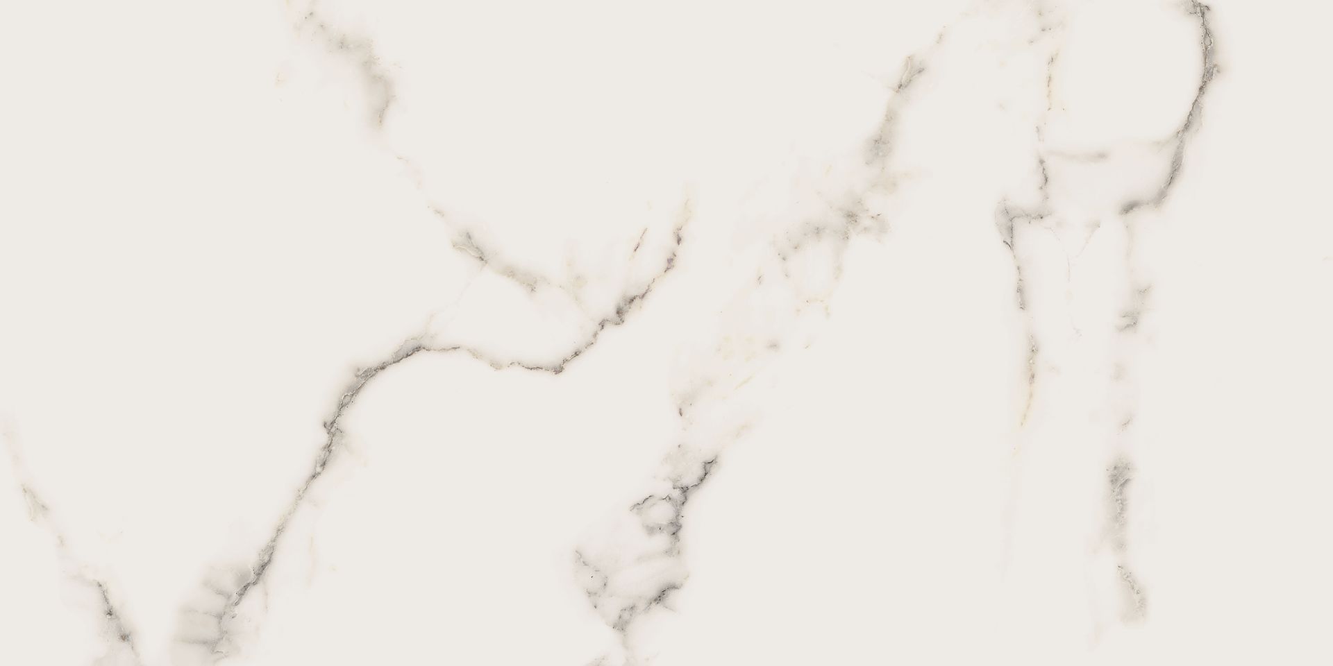 Gres Carrara Premium White Polished Rectified 60X120