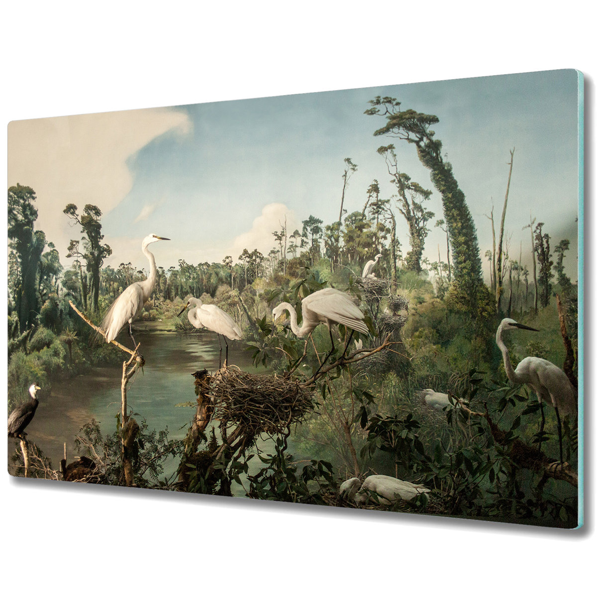 Stylowa Deska Do Krojenia ze Szkła - Nowozelandzkie ptaki - 80x52 cm