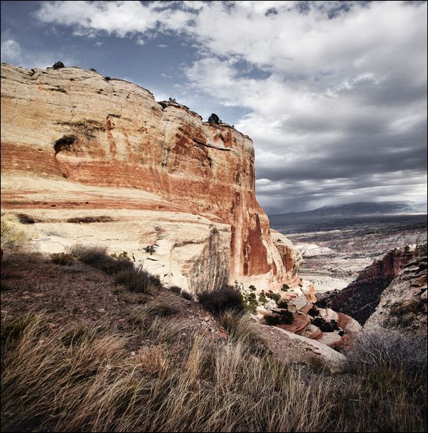 Scenery at Colorado National Monument, Carol Highsmith - plakat 40x40 cm