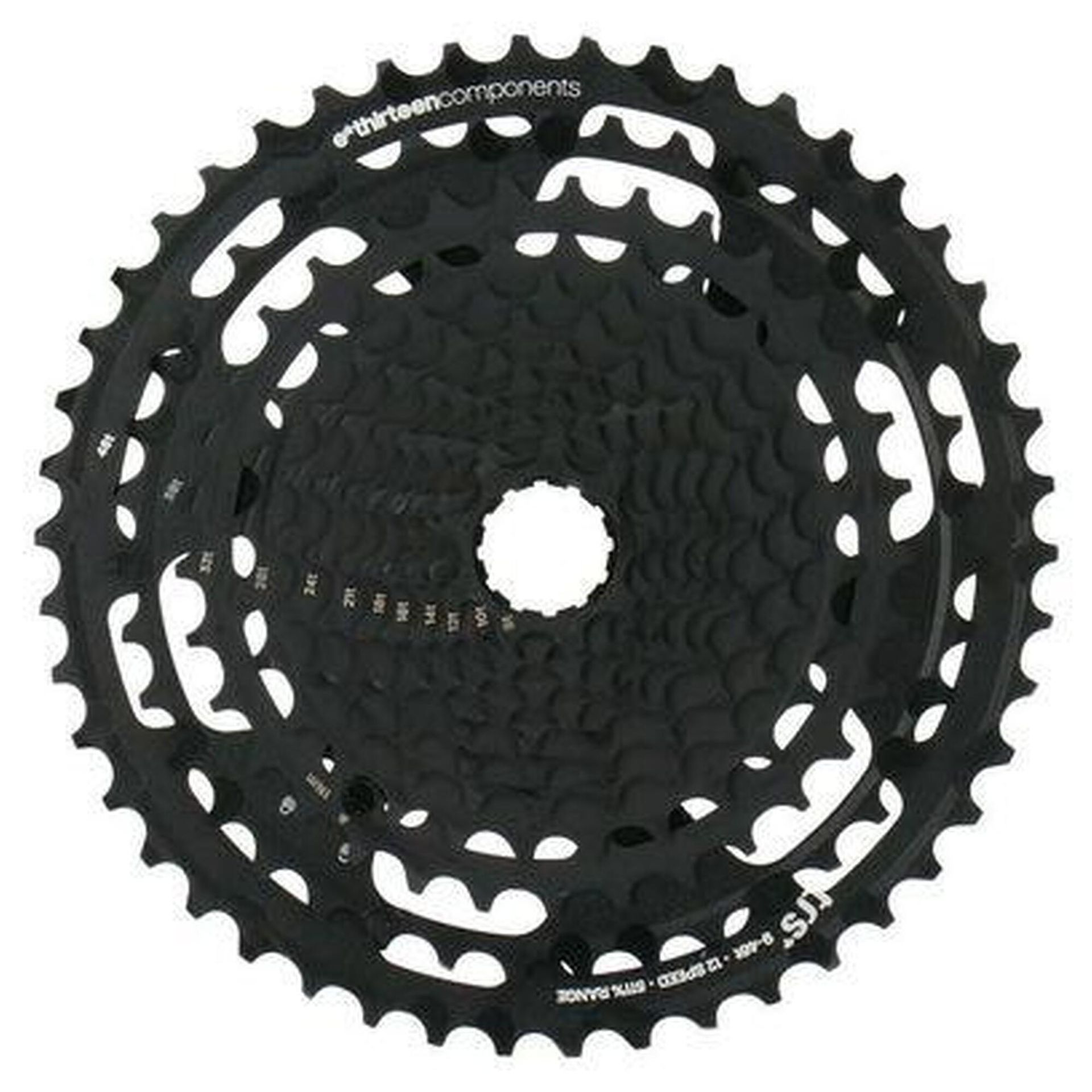 e*thirteen e*thirteen TRS Plus Kaseta rowerowa 12 rz., black 9-46T 2021 Kasety FW2TPA-103