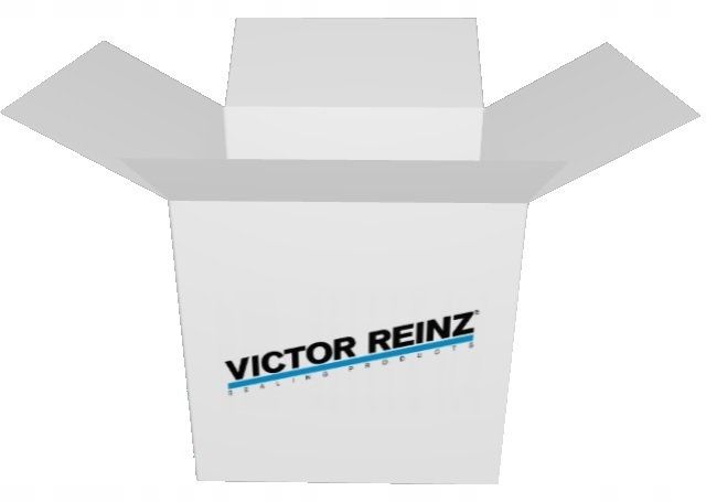 REINZ Zestaw uszczelek, skrzynia korbowa 08-35038-02