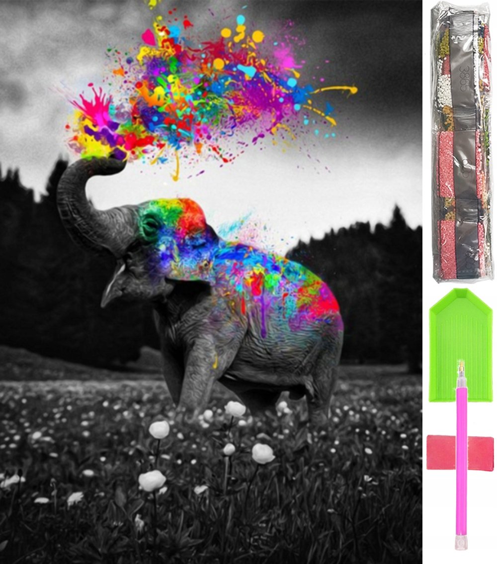 HAFT DIAMENTOWY DUŻY 5D Zestaw Obraz MOZAIKA D31