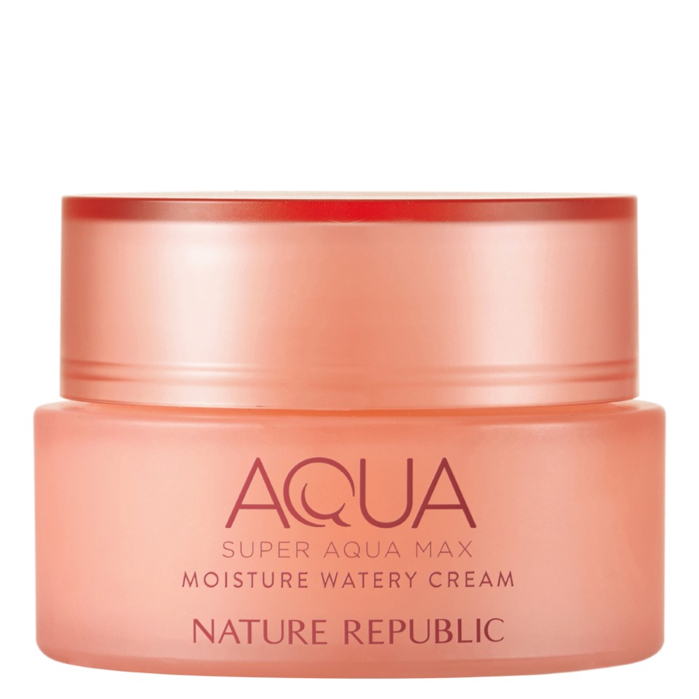 Nature Republic Super Aqua Max Moisture Watery Cream 80ml