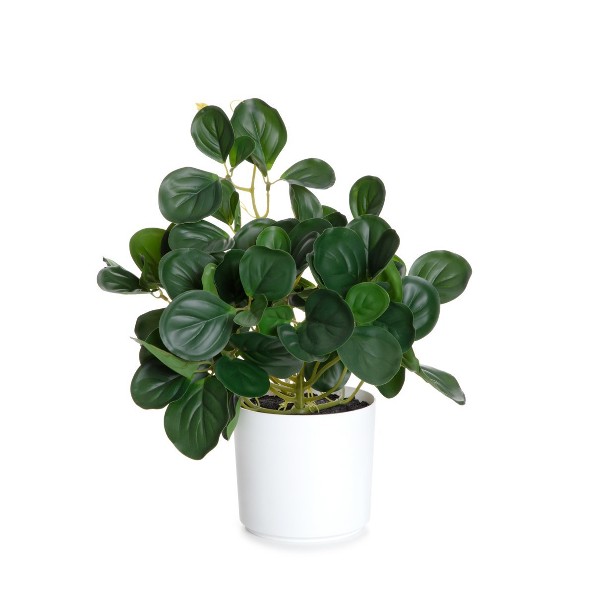 Roślina sztuczna TROPICAL ZONE pepperomia 43 cm HOMLA