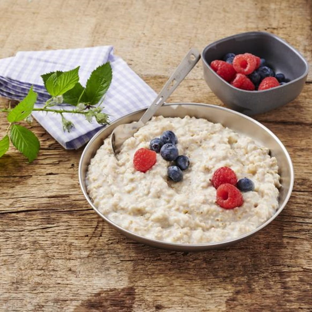 Liofilizat Trek'N Eat Bowl owsiany 150 g