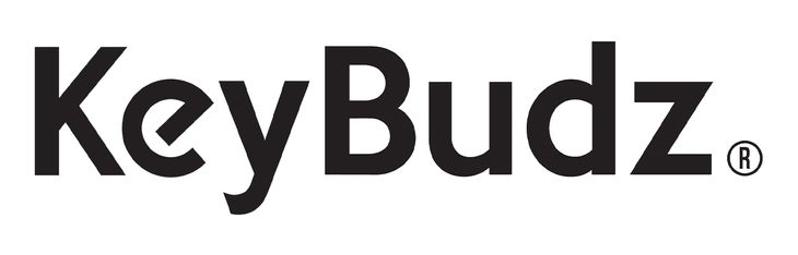 KeyBudz New AirCare Cleaning Kit 1.5 do AirPods
