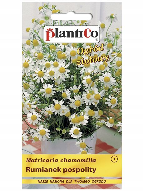 Plantico Rumianek pospolity