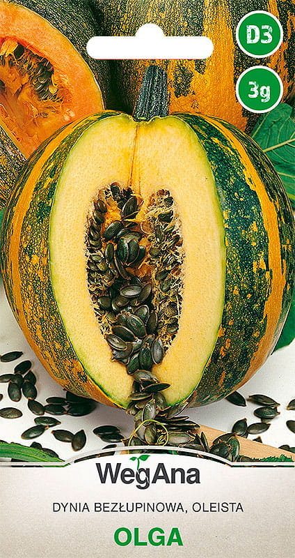 Dynia zwyczajna Olga 3g nasiona - WegAna
