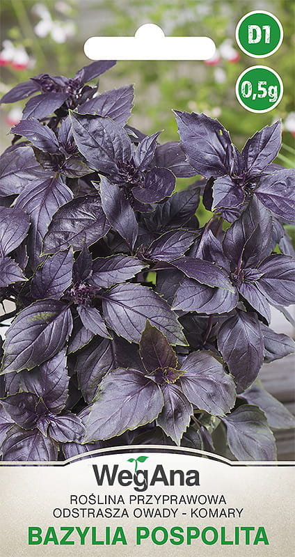 Bazylia pospolita czerwonolistna 0,5g nasiona - WegAna