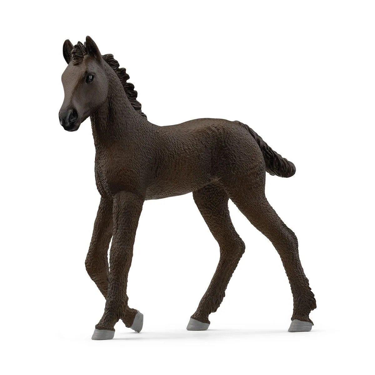 ŹREBIĘ FRYZYJSKIE