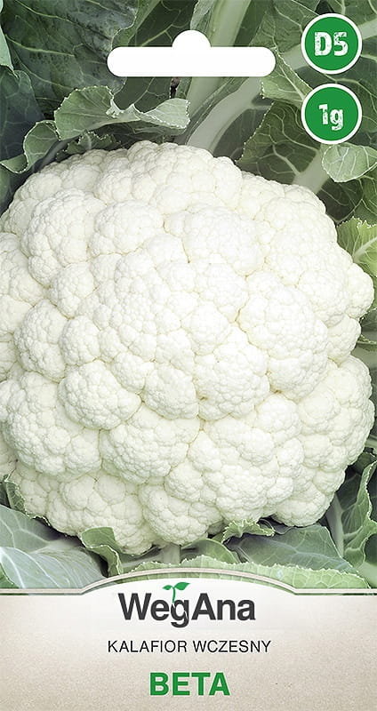 Kalafior Beta 1g nasiona - WegAna