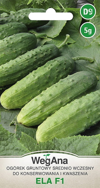 Ogórek Konserwowy Ela (F1) 5g nasiona - WegAna