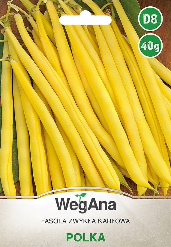Fasola Polka Karłowa 40g nasiona - WegAna
