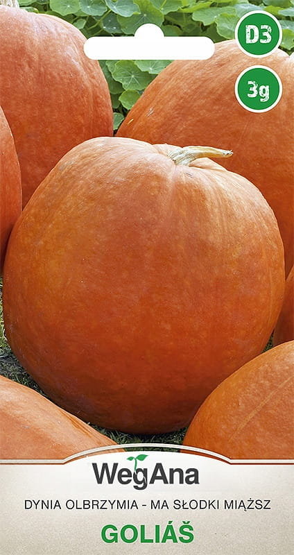 Dynia olbrzymia Golias 3g nasiona - WegAna