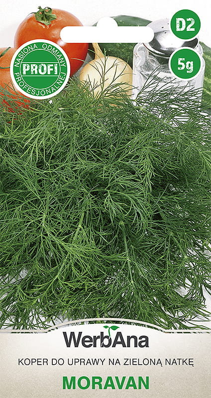 Koper Moravan 5g nasiona - WegAna