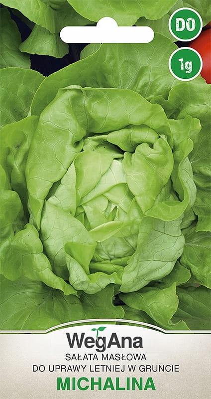 Sałata masłowa Michalina 1g nasiona - WegAna