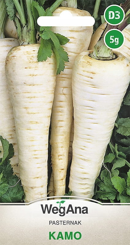 Pasternak Kamo 5g nasiona - WegAna