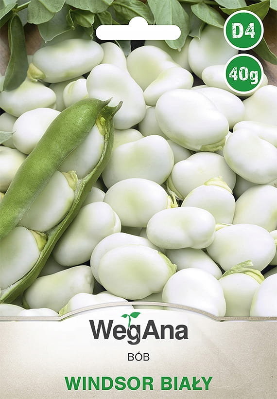 Bób Windsor Bialy 40g nasiona - WegAna