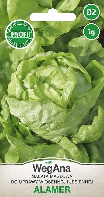 Sałata masłowa Alamer 1g nasiona - WegAna