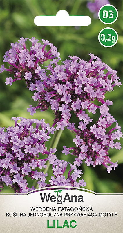 Werbena patagońska Lilac nasiona 0,2g nasiona - WegAna