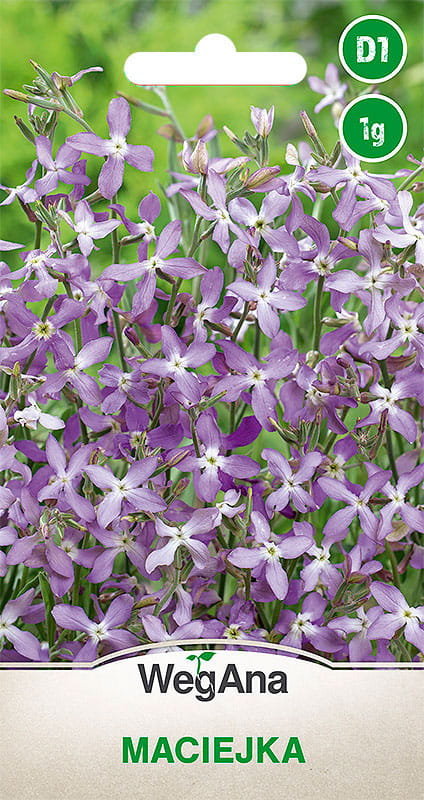 Maciejka 3g nasiona - WegAna