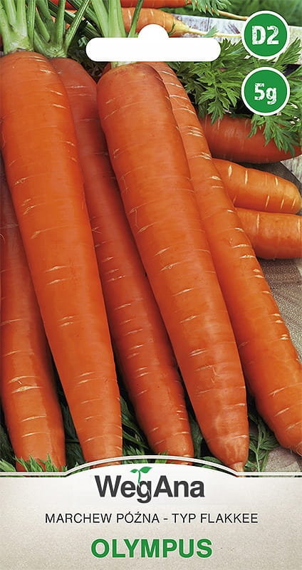 Marchew późna Olympus 5g nasiona - WegAna