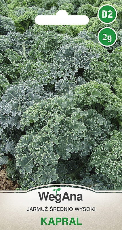 Jarmuż Kapral 2g nasiona - WegAna