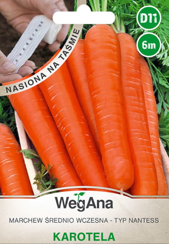 Marchew jadalna Karotela nasiona na taśmie 6 m nasiona - WegAna